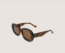 Cargar imagen en el visor de la galería, Gafa Iris Tortoise New
